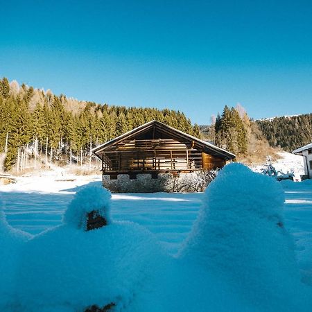 Ferienwohnung Lärchenwirt Dolomites San Nicolo di Comelico Exterior foto