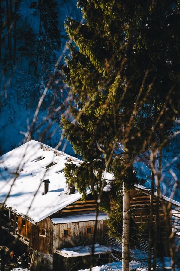 Ferienwohnung Lärchenwirt Dolomites San Nicolo di Comelico Exterior foto