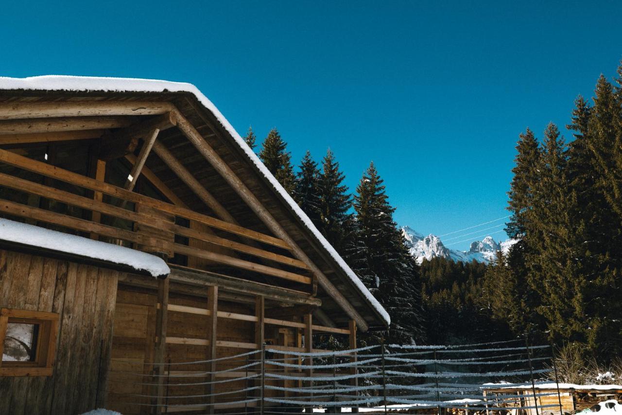 Ferienwohnung Lärchenwirt Dolomites San Nicolo di Comelico Exterior foto