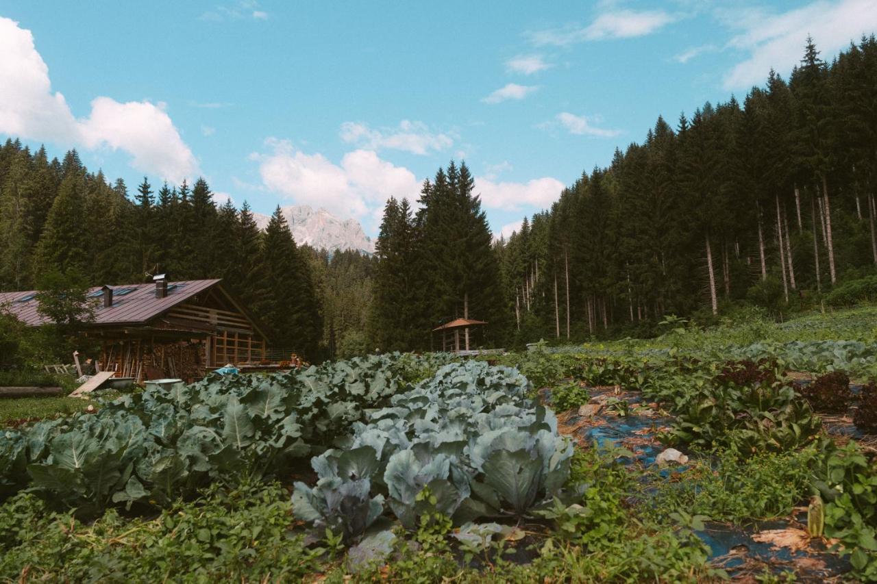 Ferienwohnung Lärchenwirt Dolomites San Nicolo di Comelico Exterior foto
